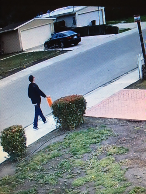 Male suspect pacakge theft 2